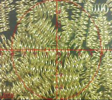 Sản phẩm mạ lò xo ROHS Báo cáo thử nghiệm pin Pogo